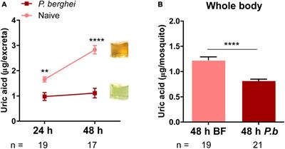 Anopheles gambiae Actively Metabolizes Uric Acid Following Plasmodium Infection to Limit Malaria Parasite Survival